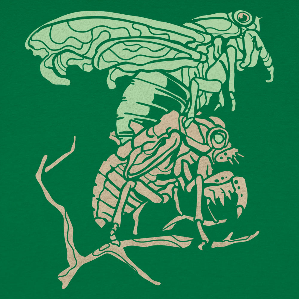 Cicada Molting Graphic