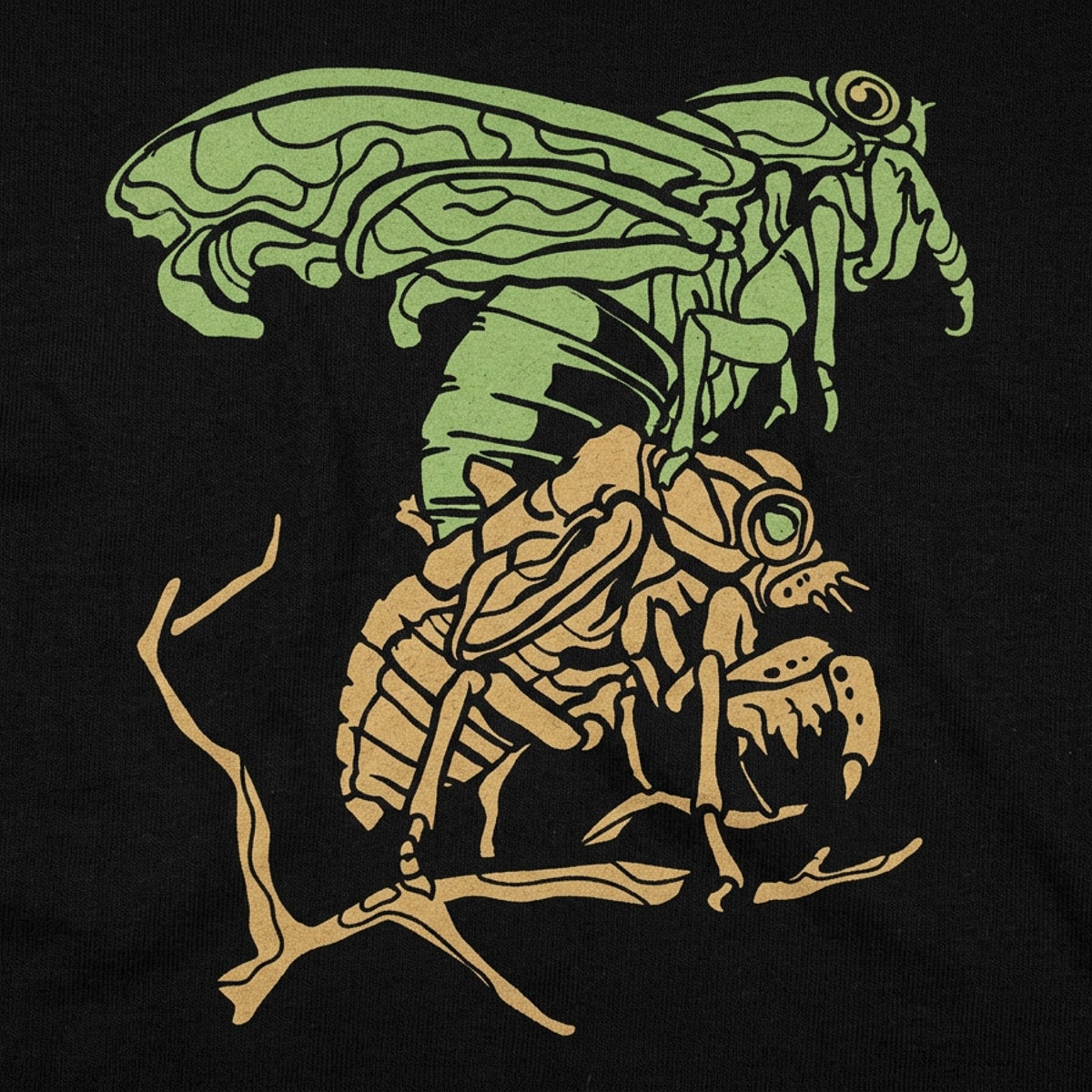 Cicada Molting Graphic