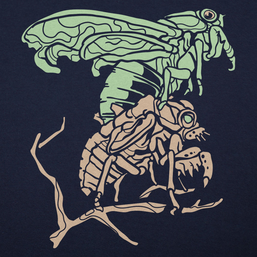 Cicada Molting Graphic
