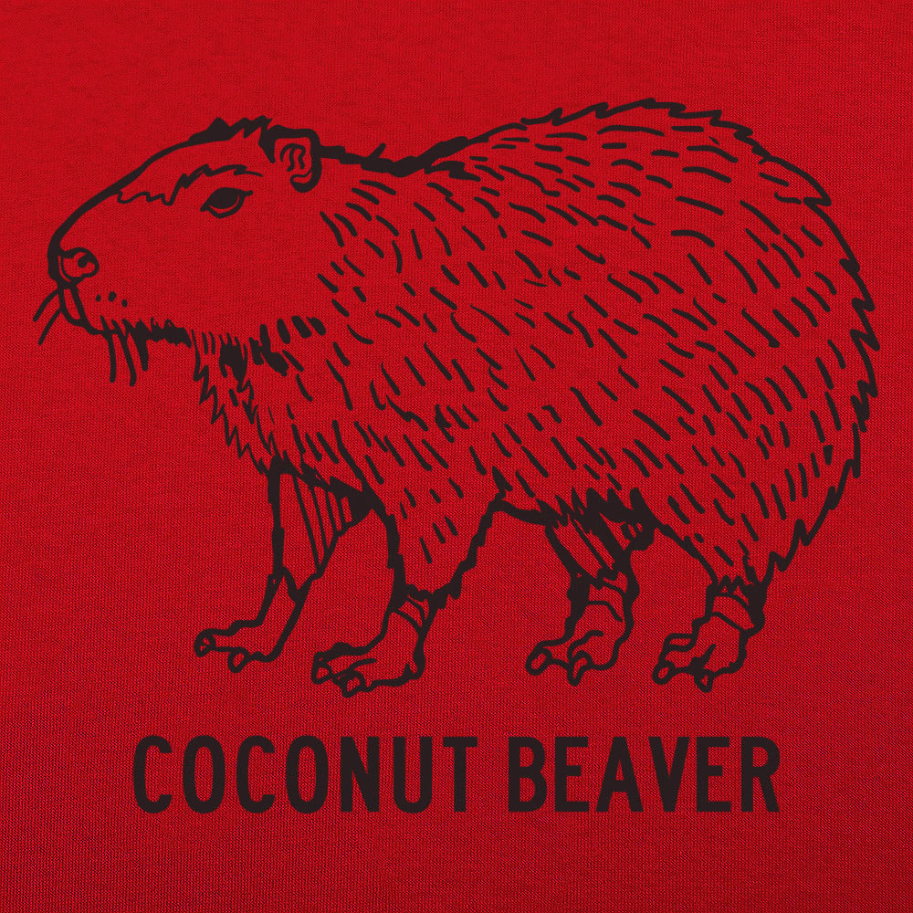 Coconut Beaver Giant Capybara Rodent