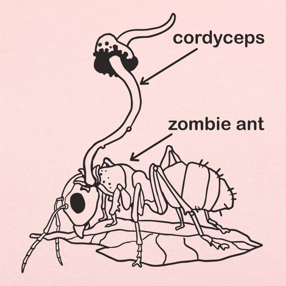 Cordyceps Zombie Ant Fungus Diagram