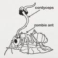 Cordyceps Zombie Ant Fungus Diagram