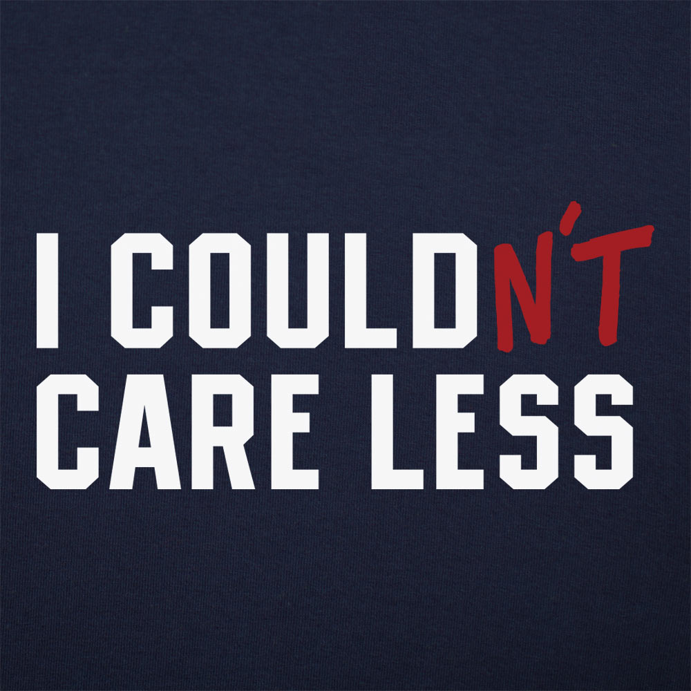 I Couldn't Care Less Grammar Correction Pun