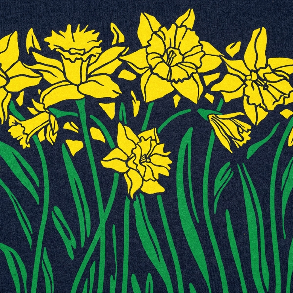 Daffodils Blooming Graphic