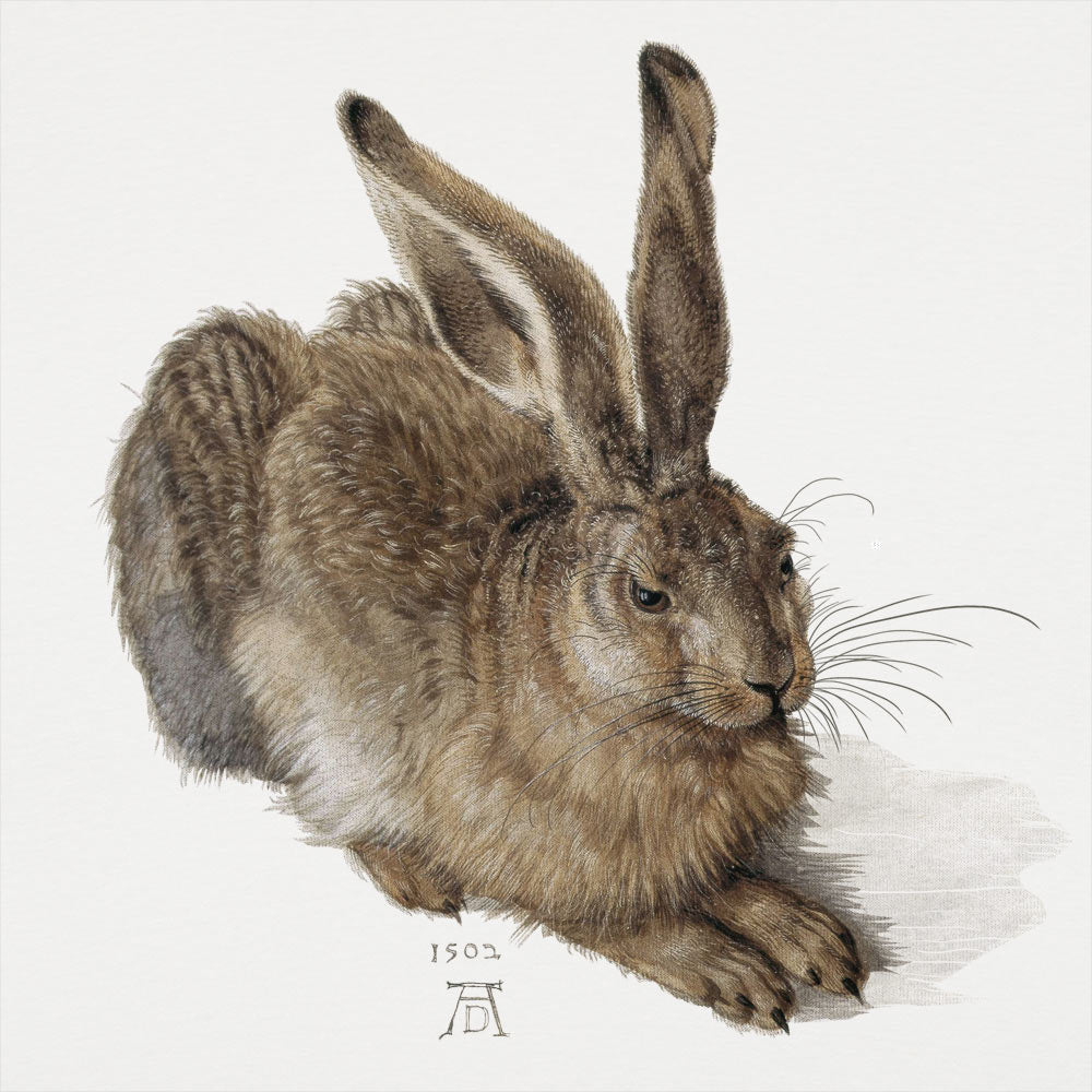 Albrecht Durerr Rabbit Full Color Renaissance Hare Painting
