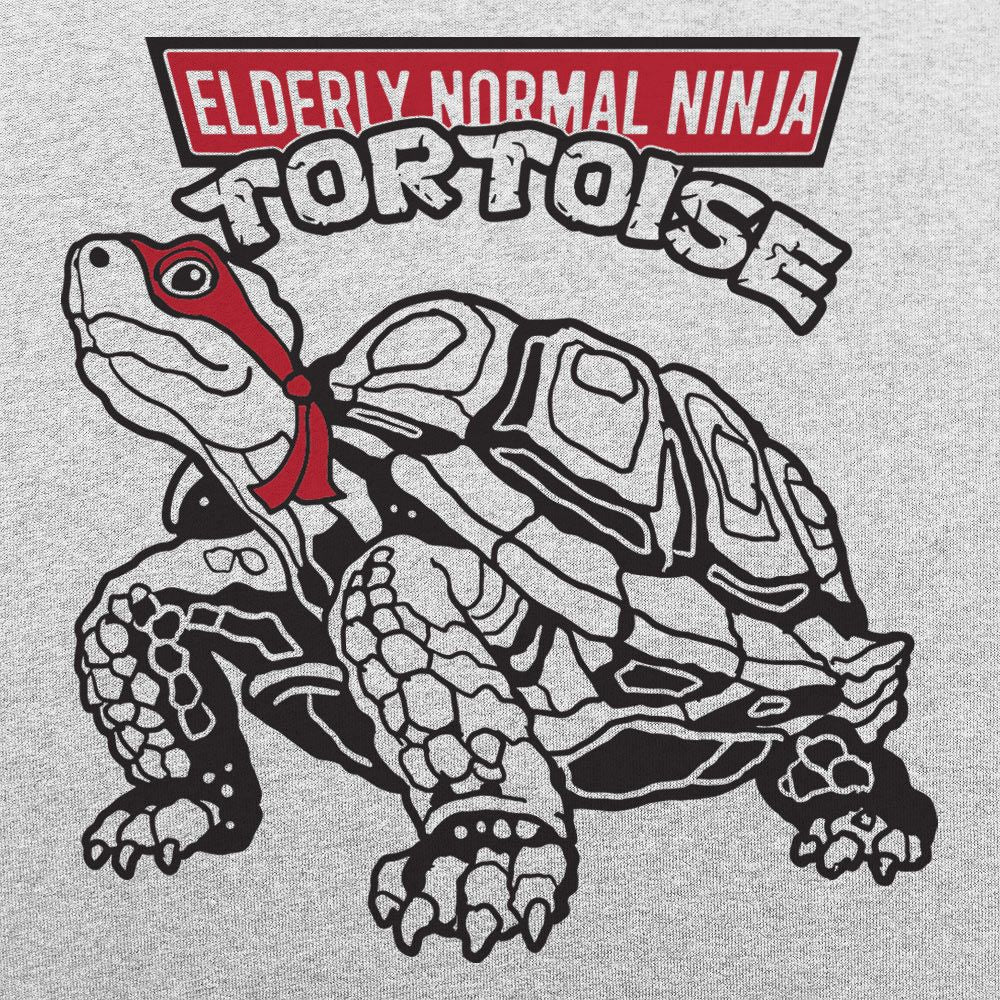 Elderly Normal Ninja Tortoise