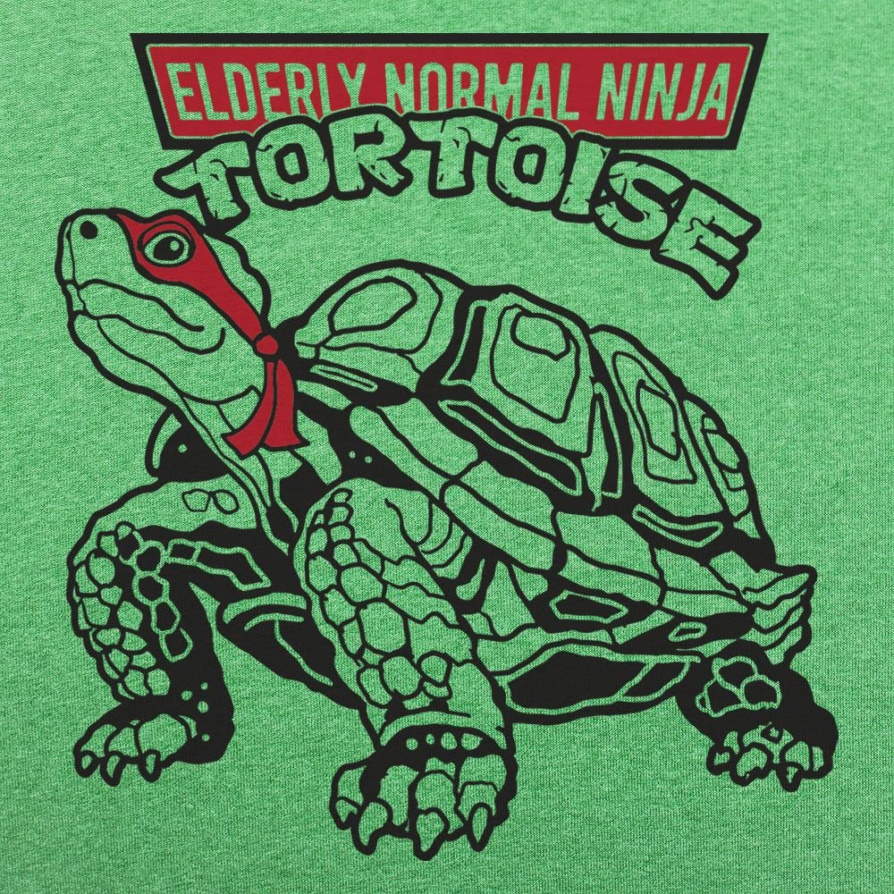 Elderly Normal Ninja Tortoise