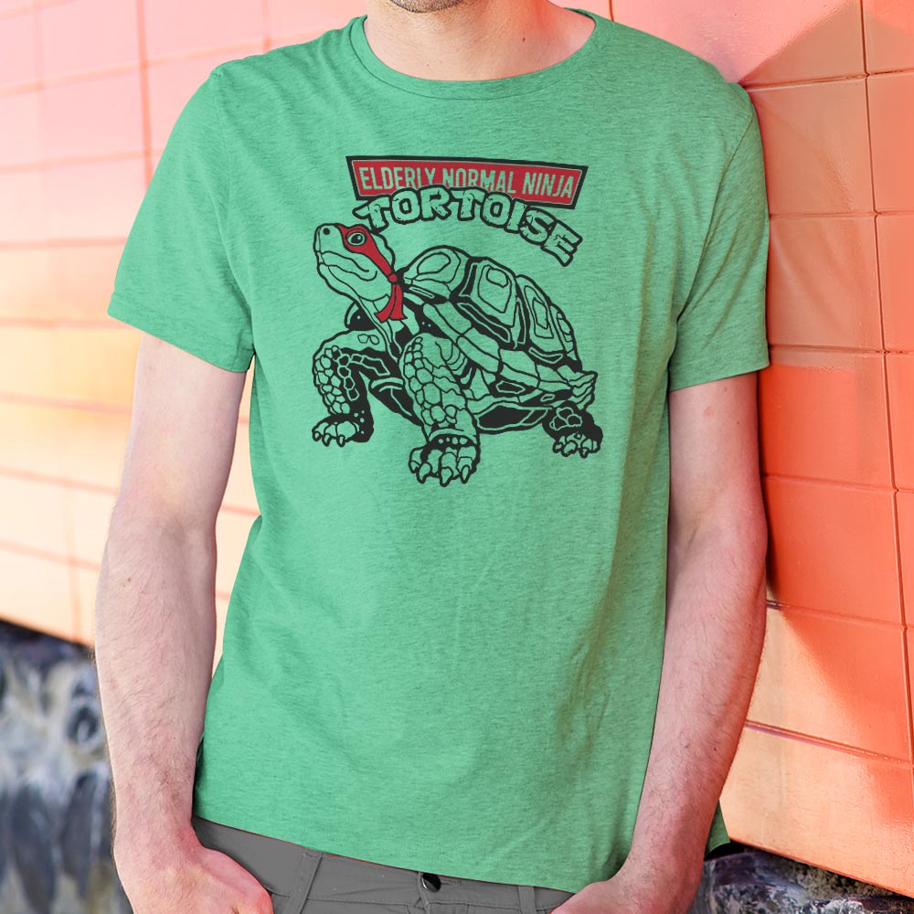 Elderly Normal Ninja Tortoise