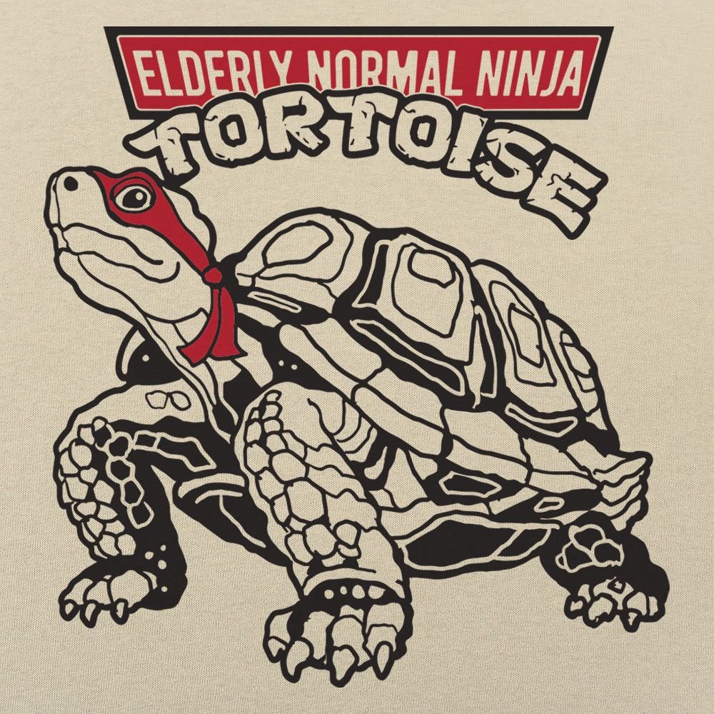 Elderly Normal Ninja Tortoise