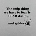 Fear And Spiders Famous Fear Itself Quote with Creepy Spider