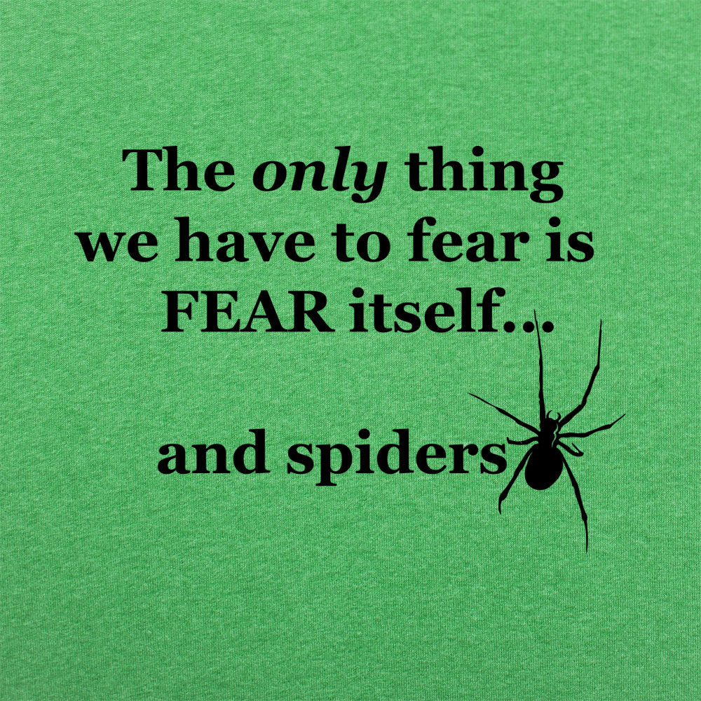 Fear And Spiders Famous Fear Itself Quote with Creepy Spider