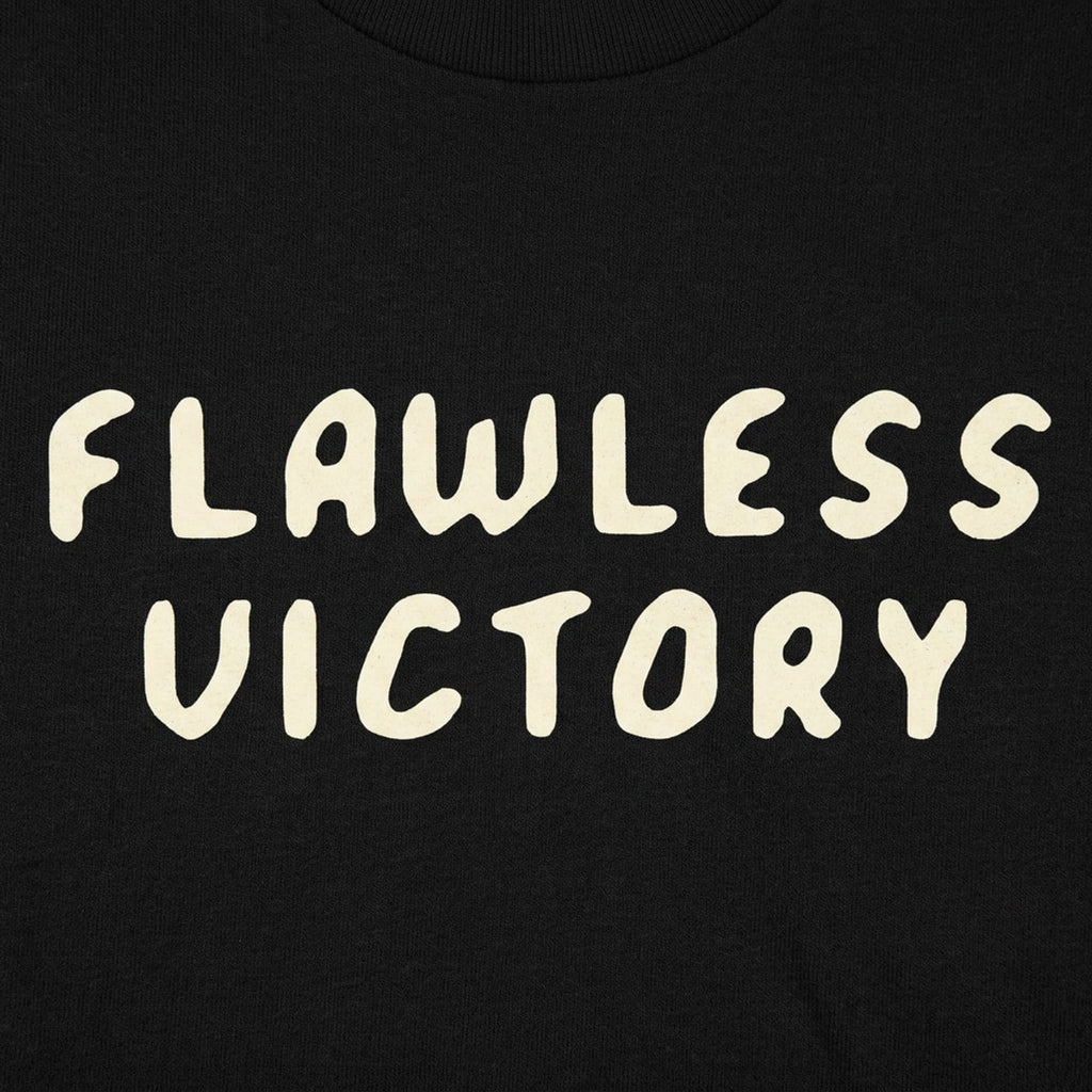 Flawless Victory Fighting Game Announcer Phrase