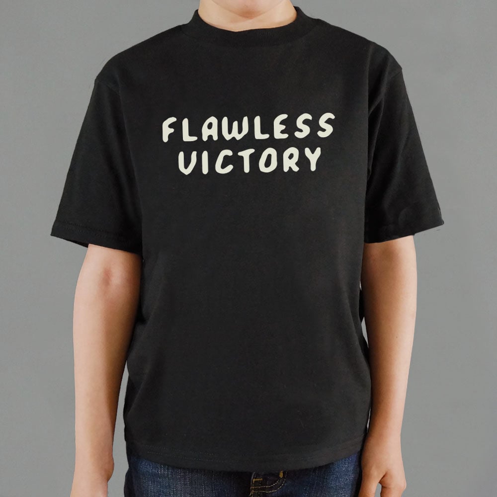 Flawless Victory Fighting Game Announcer Phrase