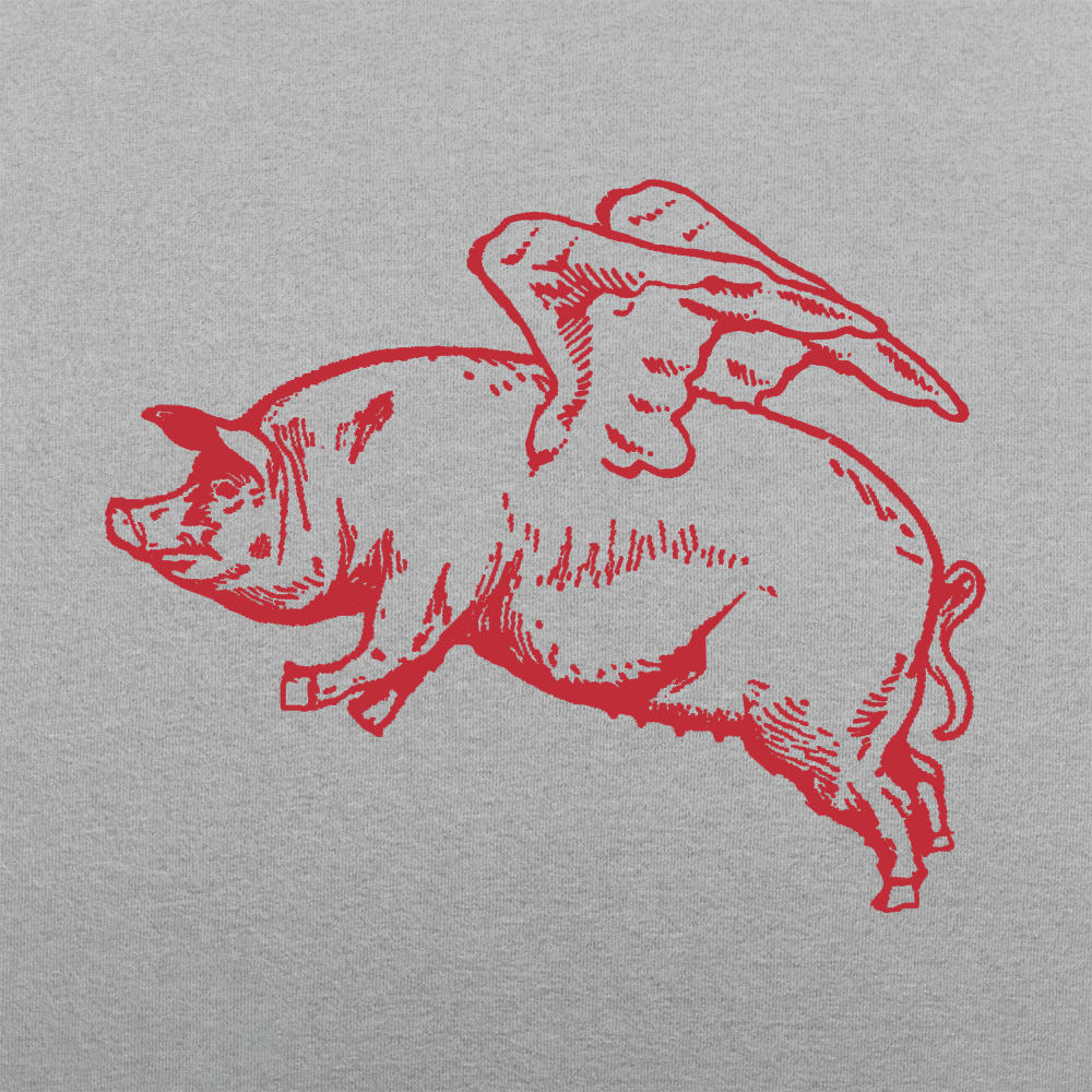 Flying Pig with Wings Pun