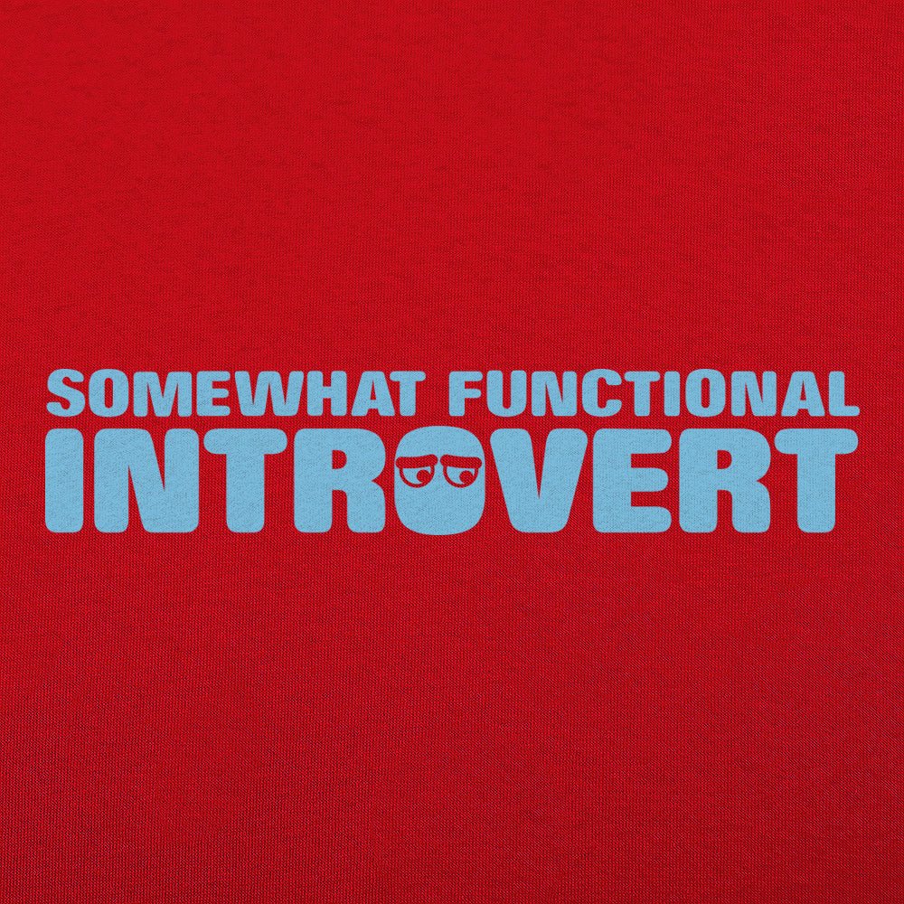 Somewhat Functional Introvert