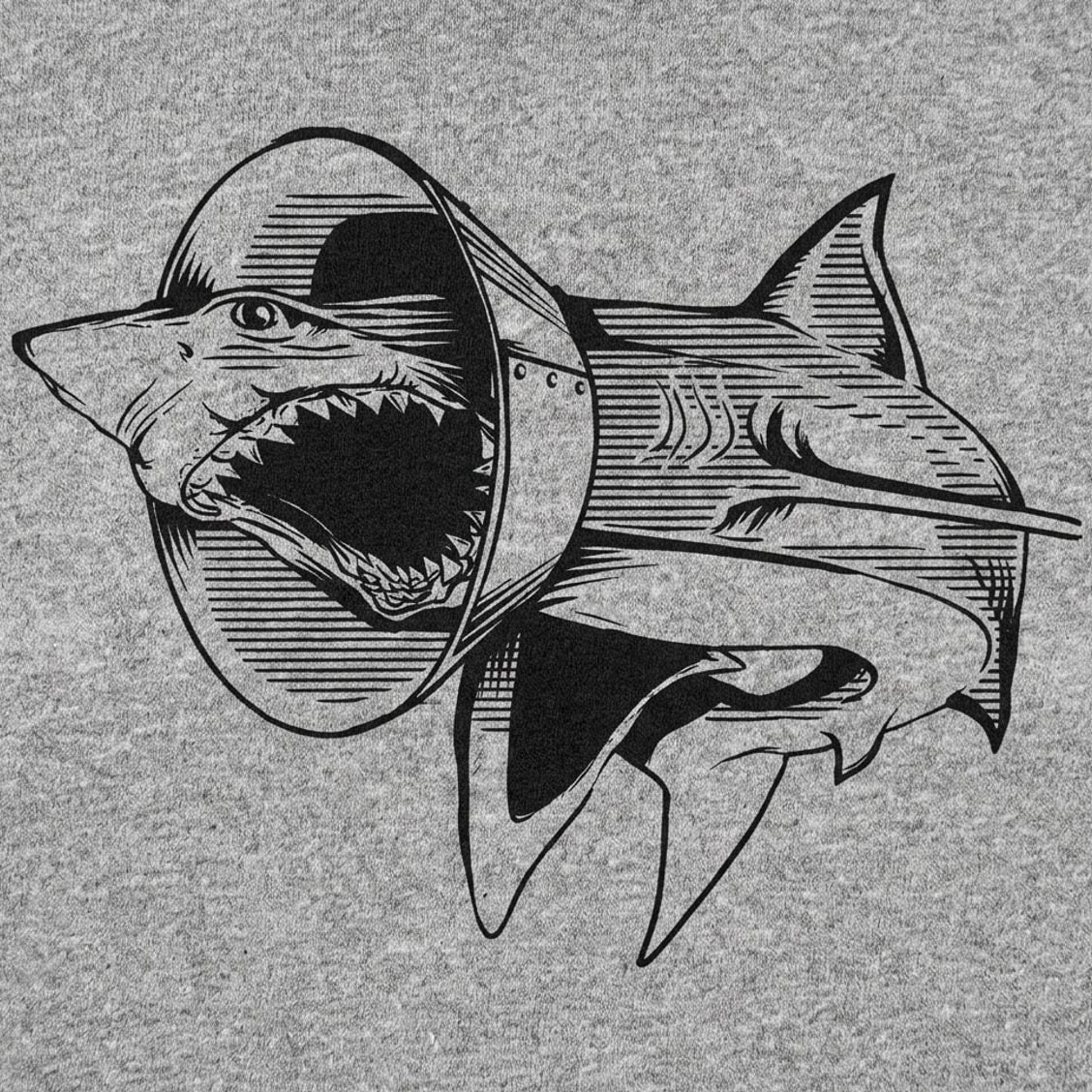 Sharky Boy the Great White Shark in a Cone Collar
