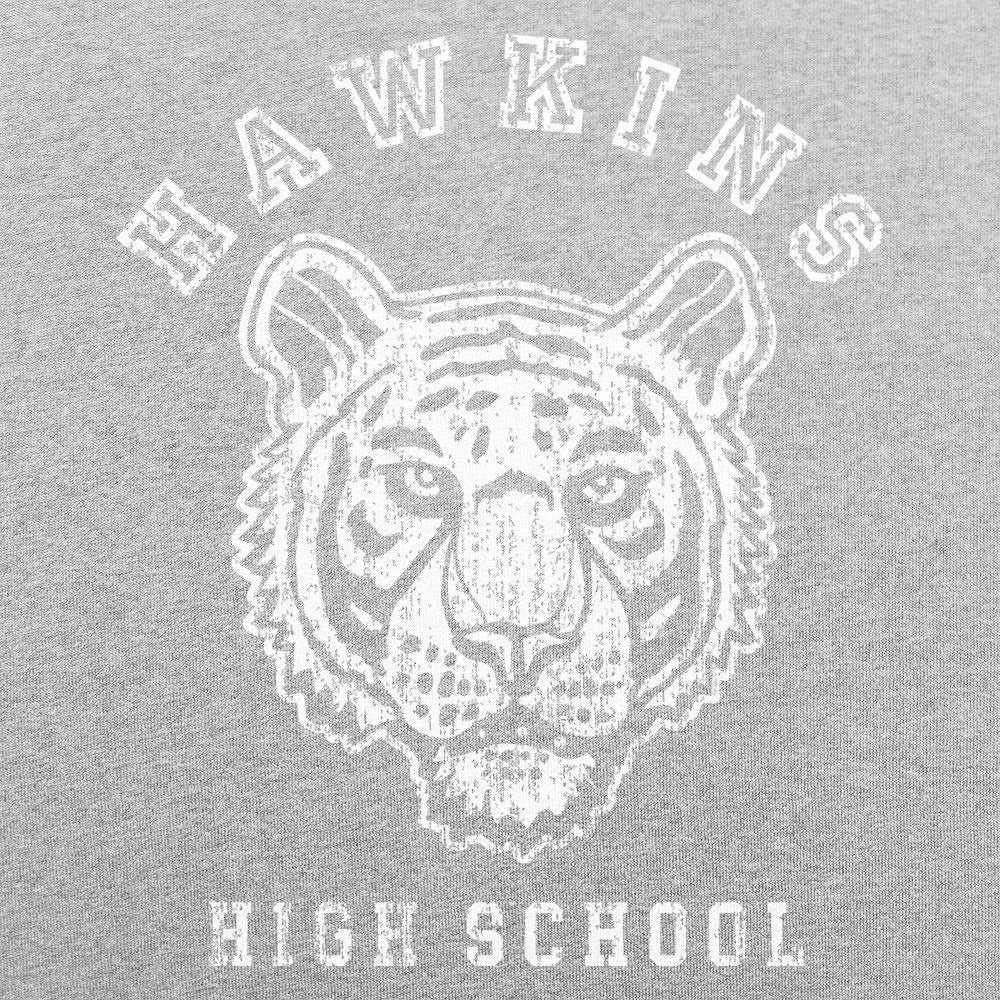 Hawkins High School Tigers Mascot