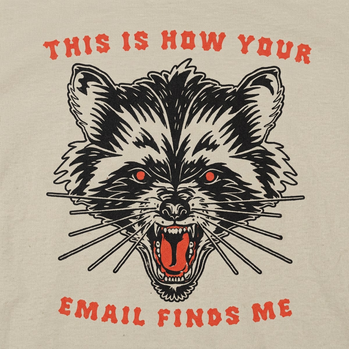 This Is How Your Email Finds Me Snarling Raccoon