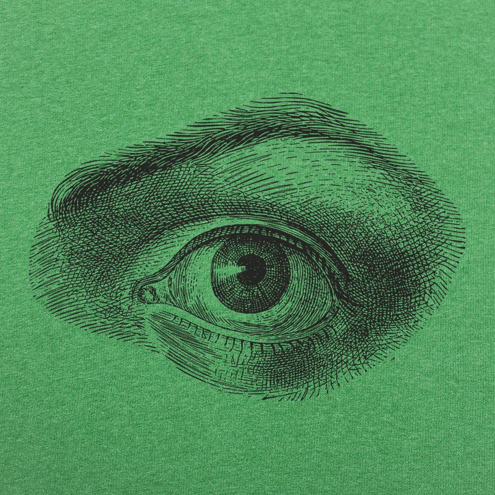 Human Eye Vintage Anatomical Illustration