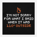 Not Sorry for What I Said When It Was 110 Degrees