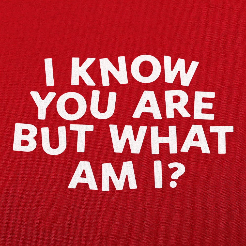 I Know You Are But What Am I