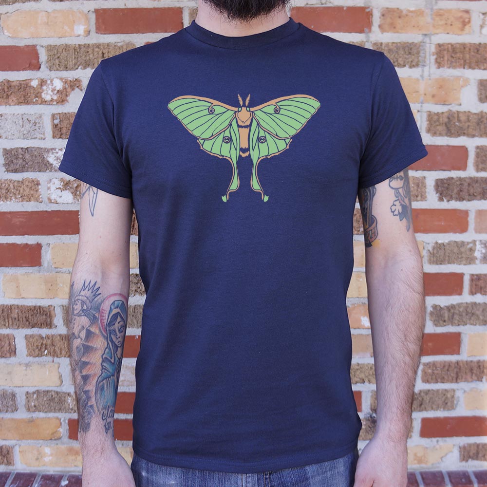 Luna Moth Illustration