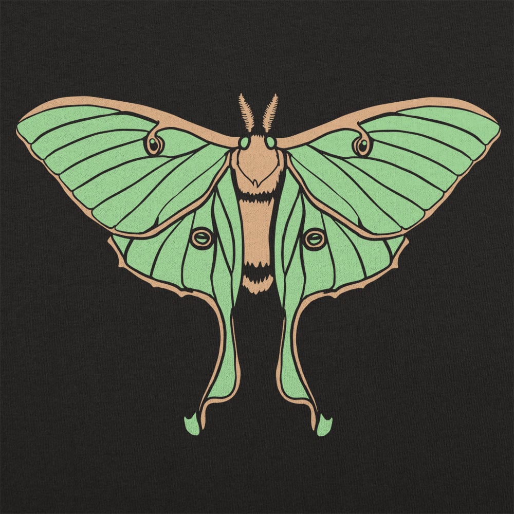 Luna Moth Illustration