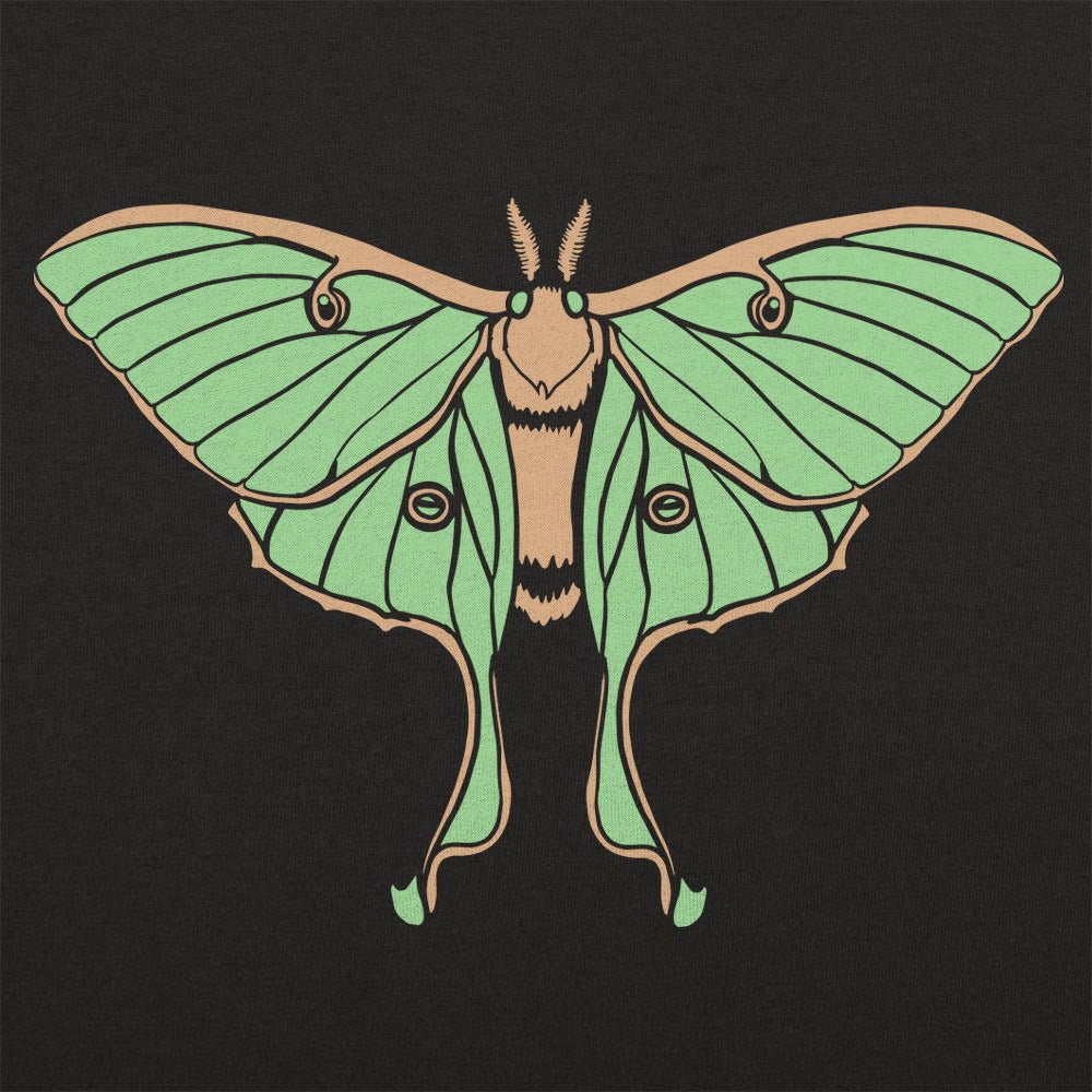 Luna Moth Illustration