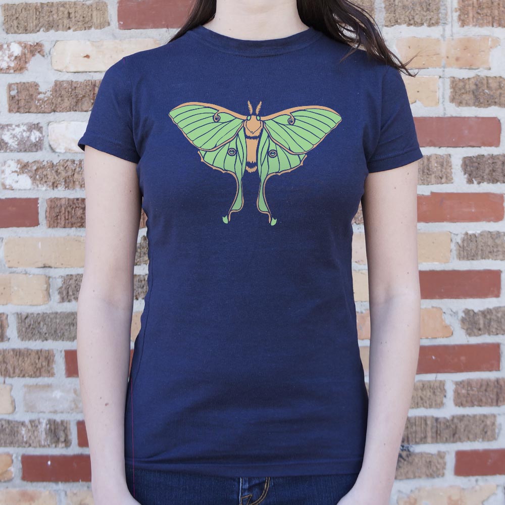 Luna Moth Illustration