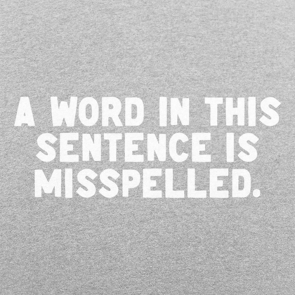 A Word in This Sentence is Misspelled Grammar Joke