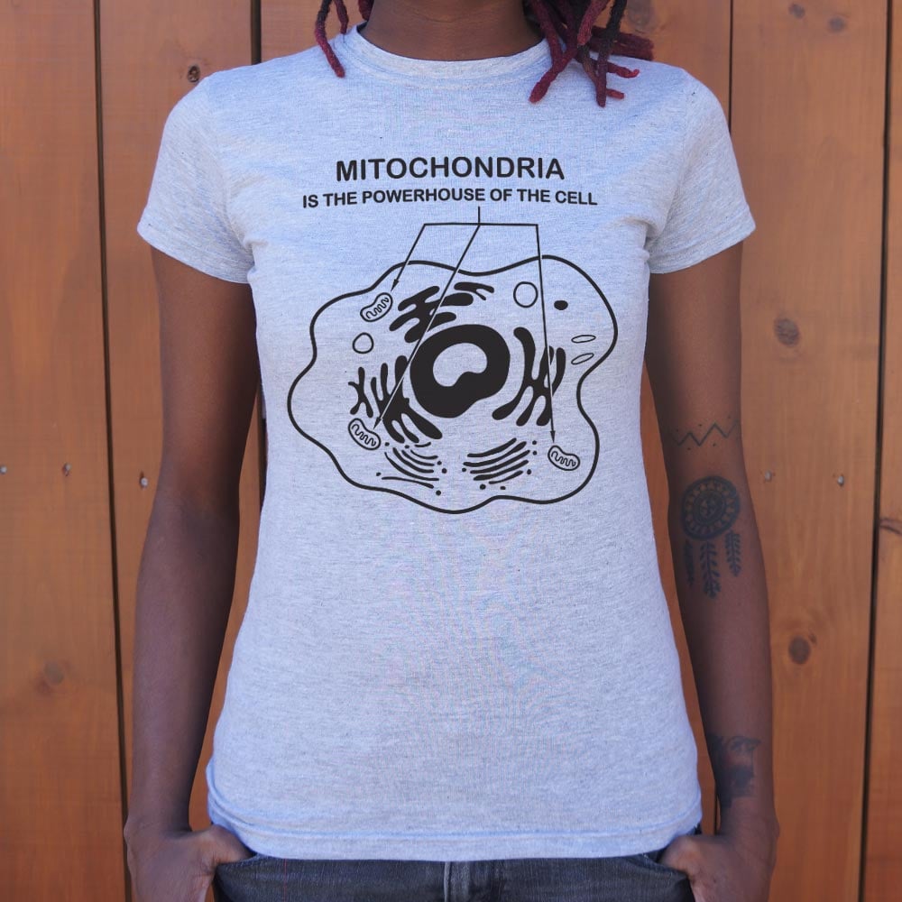Mitochondria is the Powerhouse of the Cell Diagram