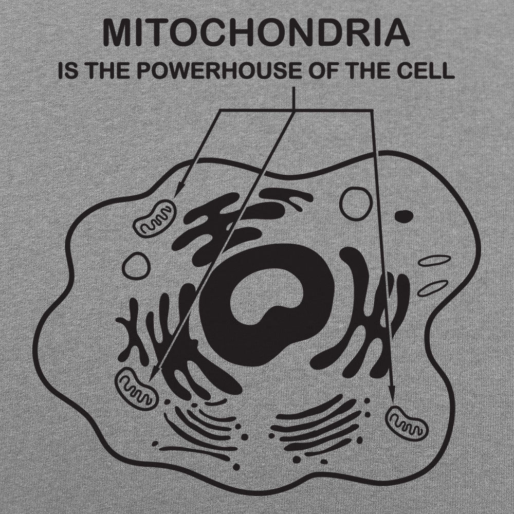 Mitochondria is the Powerhouse of the Cell Diagram