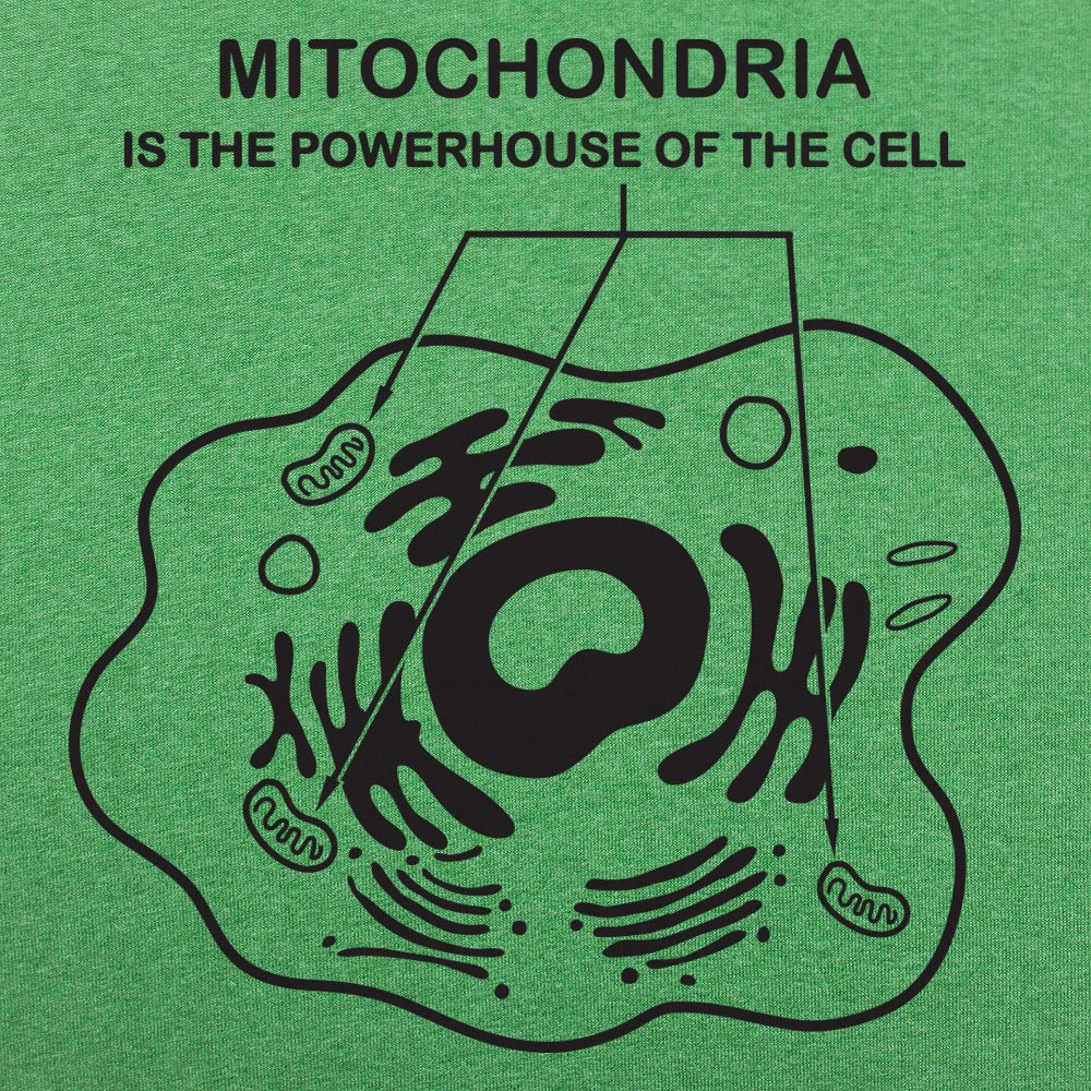 Mitochondria is the Powerhouse of the Cell Diagram