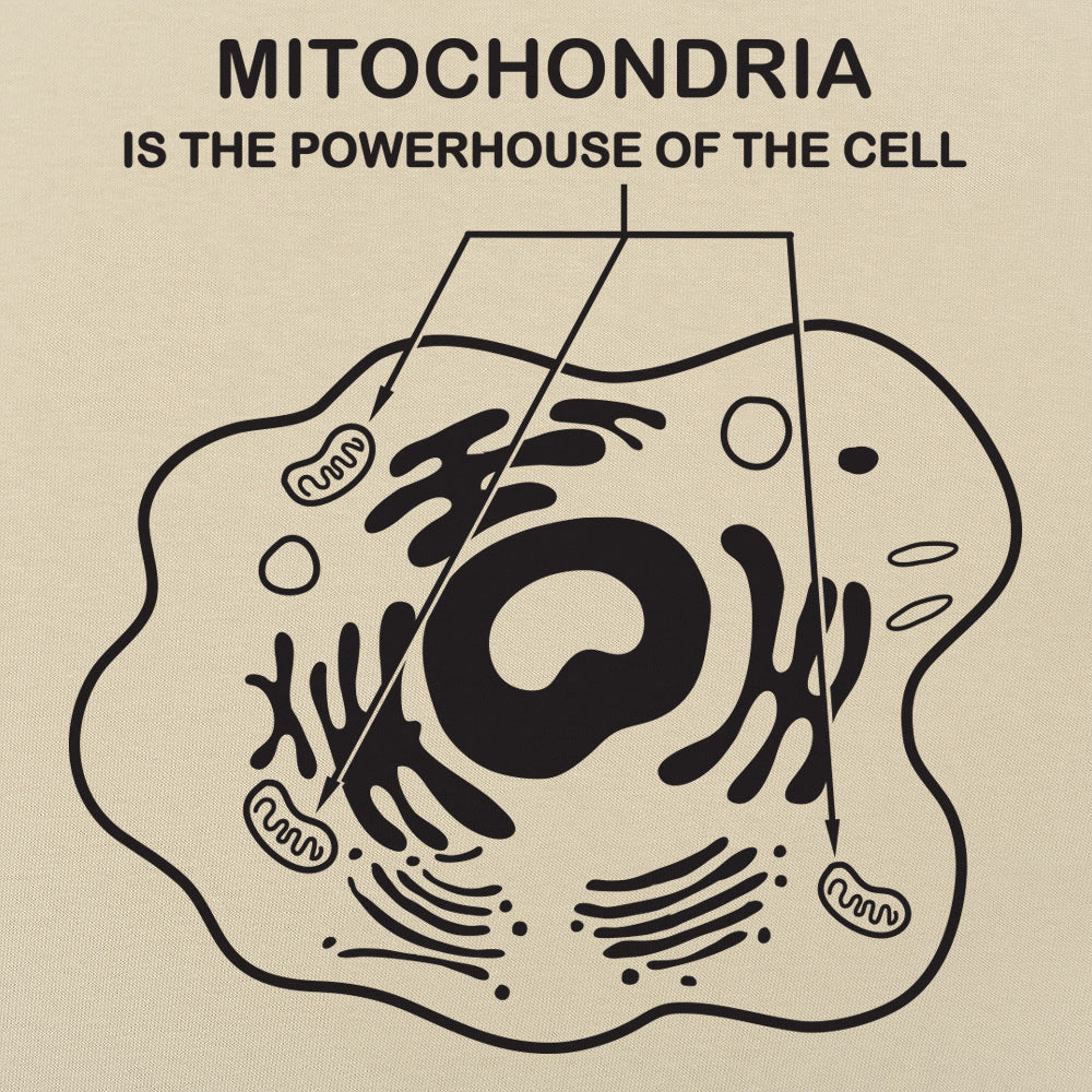 Mitochondria is the Powerhouse of the Cell Diagram
