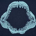 Mouth of the Megalodon Giant Shark Jaw Skeleton