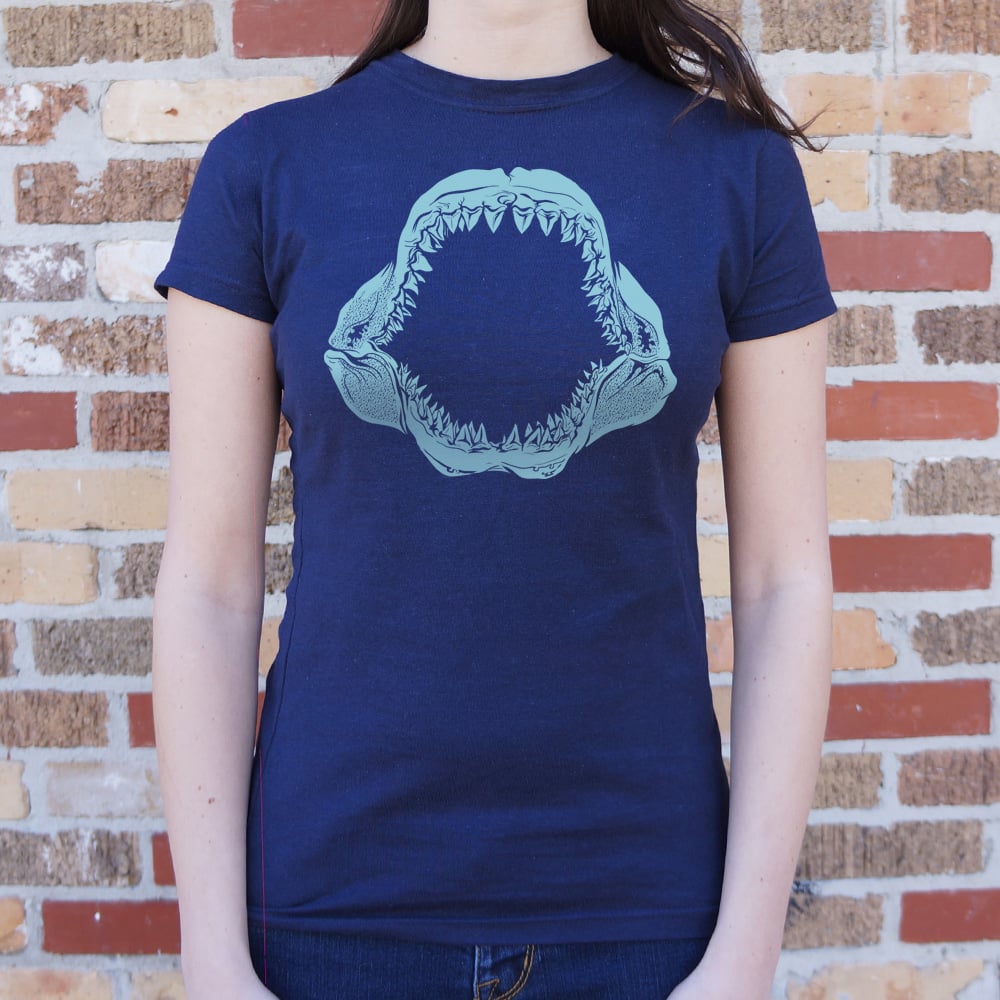 Mouth of the Megalodon Giant Shark Jaw Skeleton