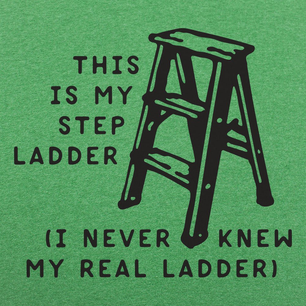 This Is My Step Ladder, I Never Knew My Real Ladder