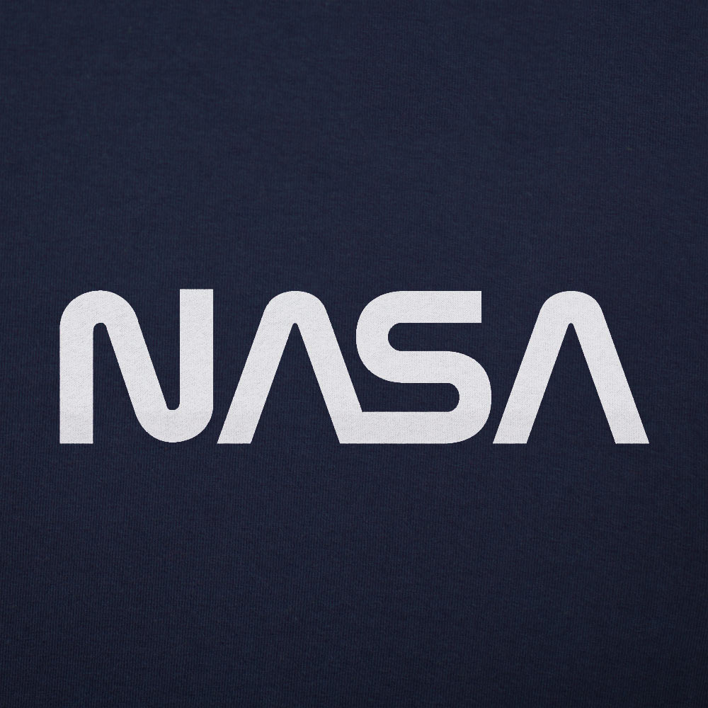 NASA Retro Worm Logo