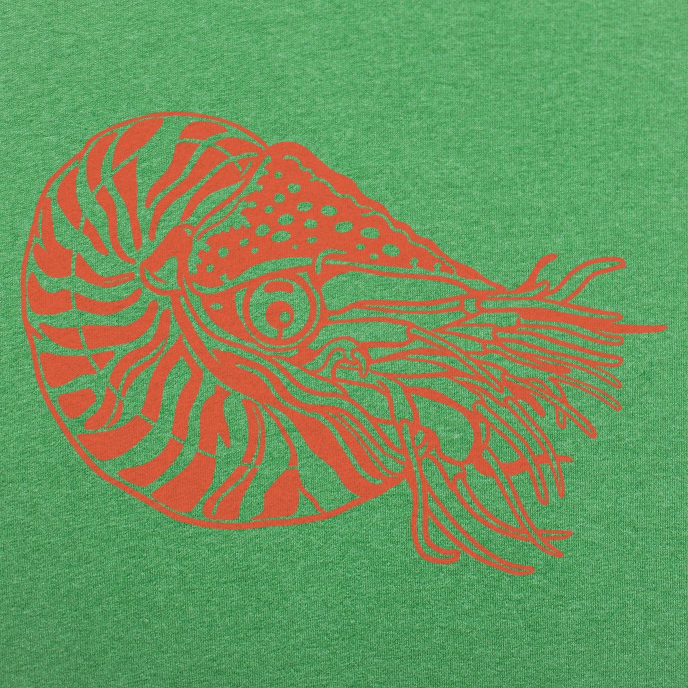 Nautilus Shelled Cephalopod Illustration