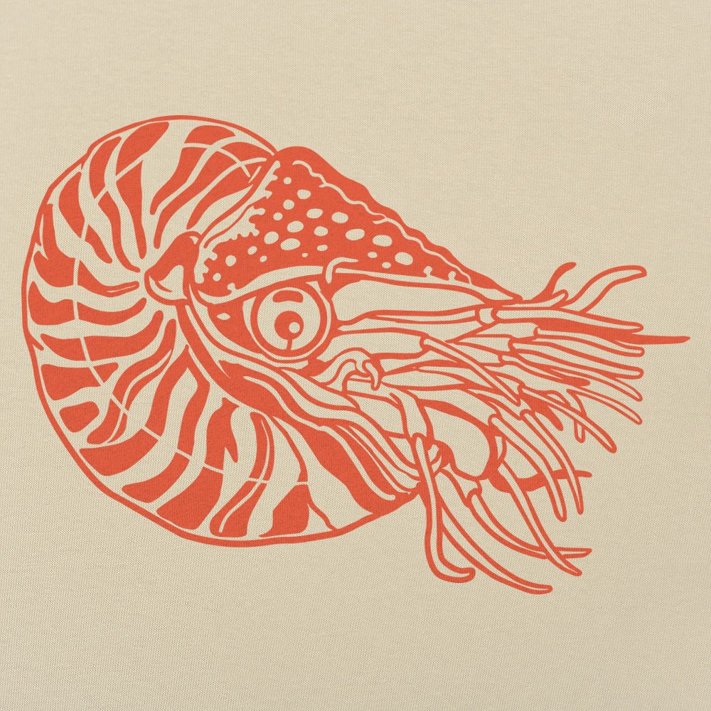 Nautilus Shelled Cephalopod Illustration
