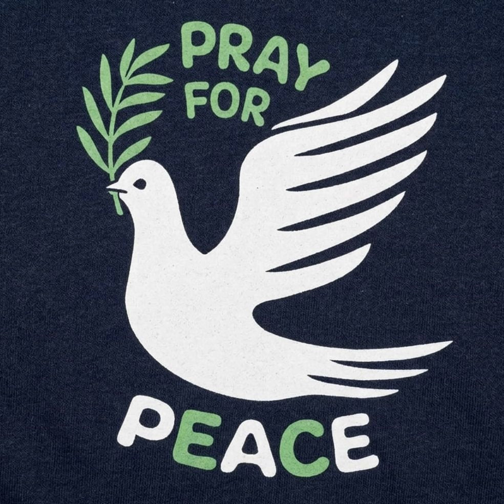 Pray For Peace Dove with Olive Branch
