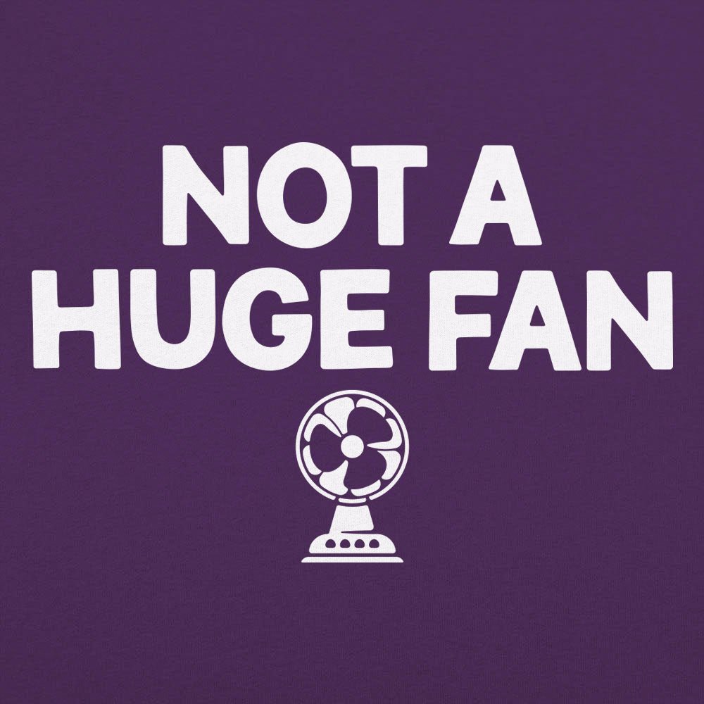 Not A Huge Fan Small Electric Fan Pun