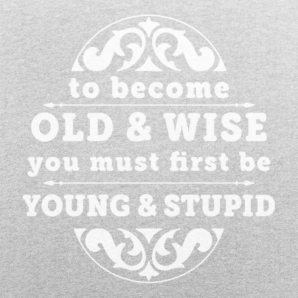 Old and Wise You Must First Be Young and Stupid