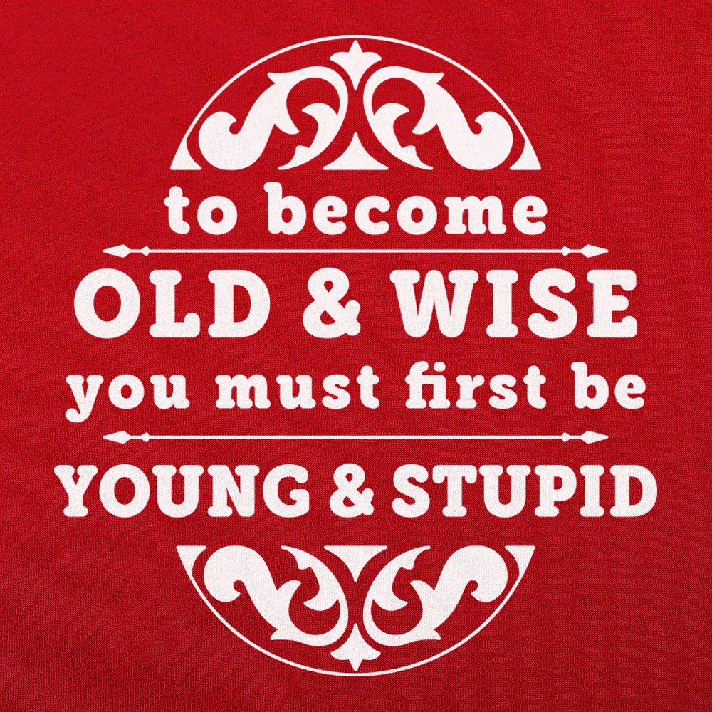 Old and Wise You Must First Be Young and Stupid