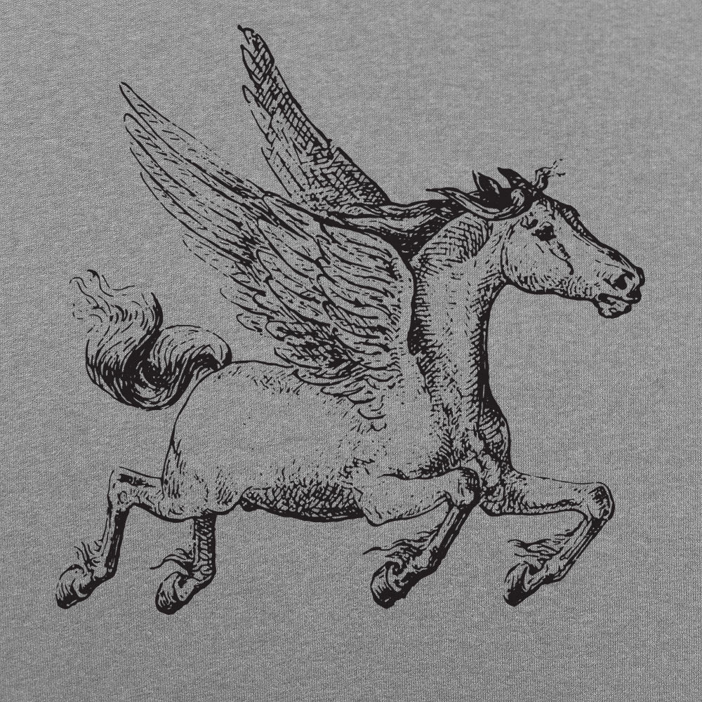 Pegasus Winged Horse Illustration
