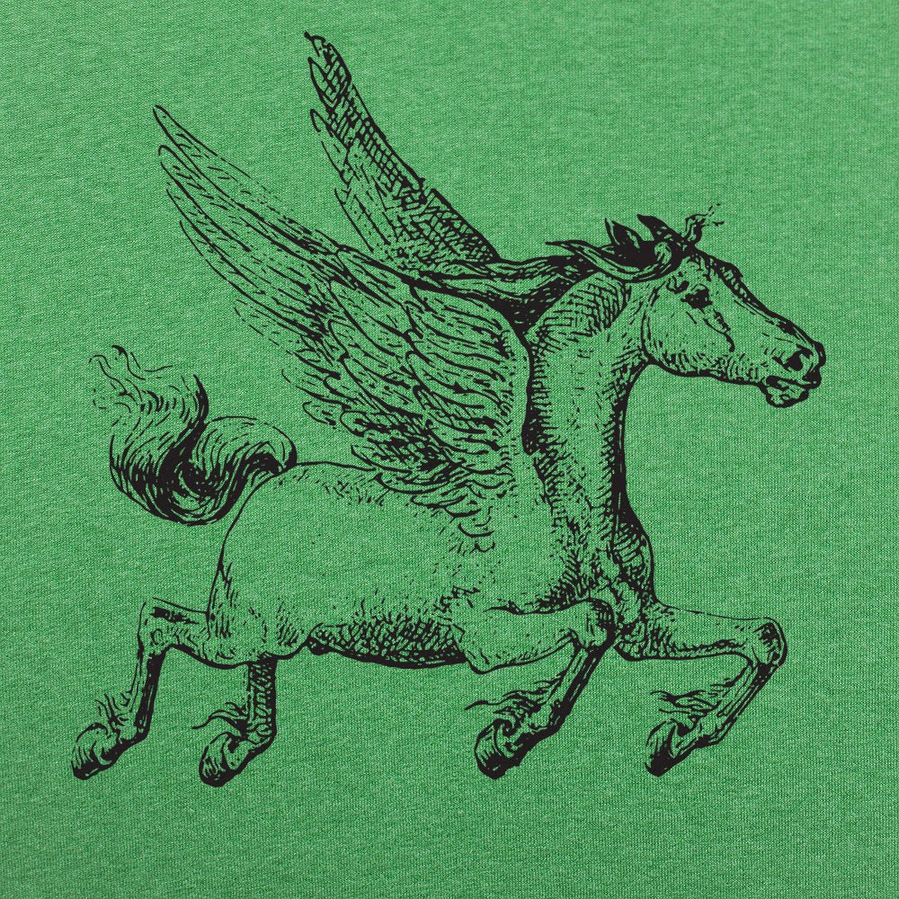 Pegasus Winged Horse Illustration
