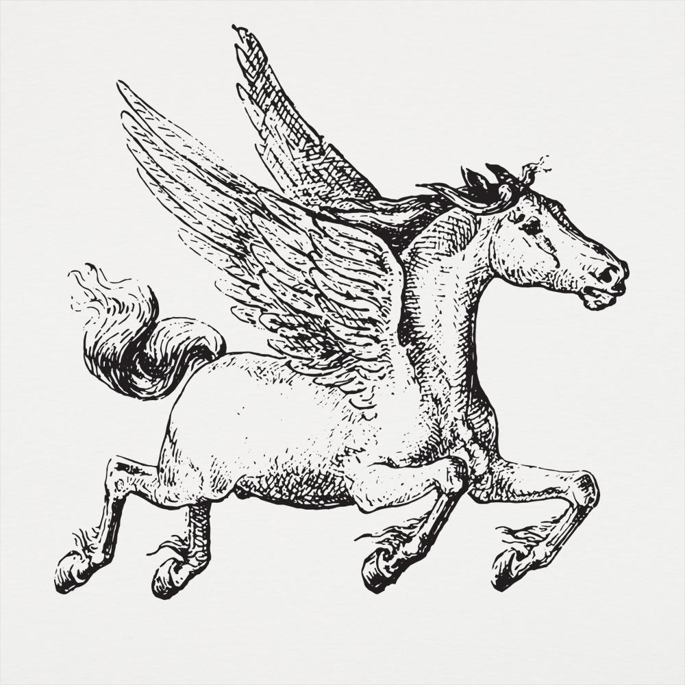 Pegasus Winged Horse Illustration