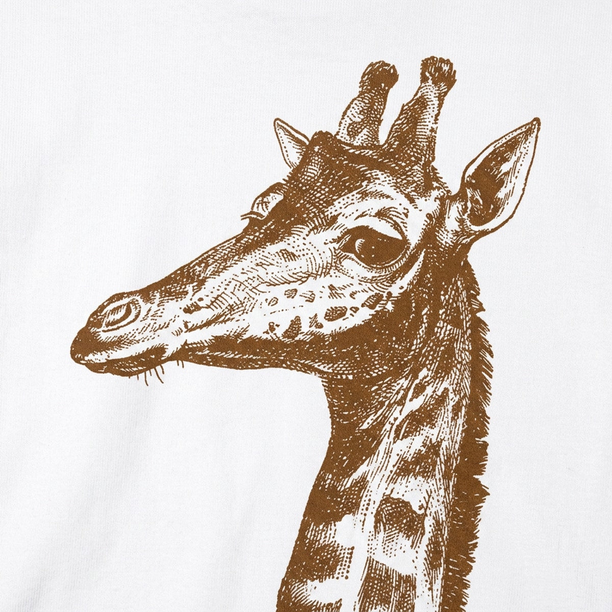 Placid Giraffe Vintage Illustration