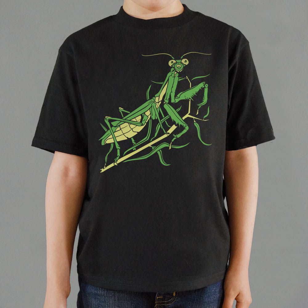 Praying Mantis Graphic