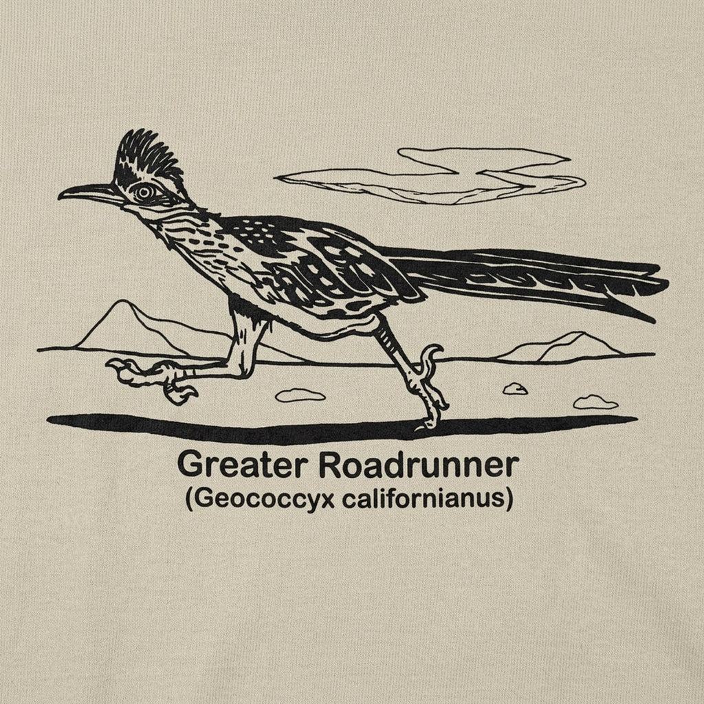Greater Roadrunner Vintage Desert Bird Illustration